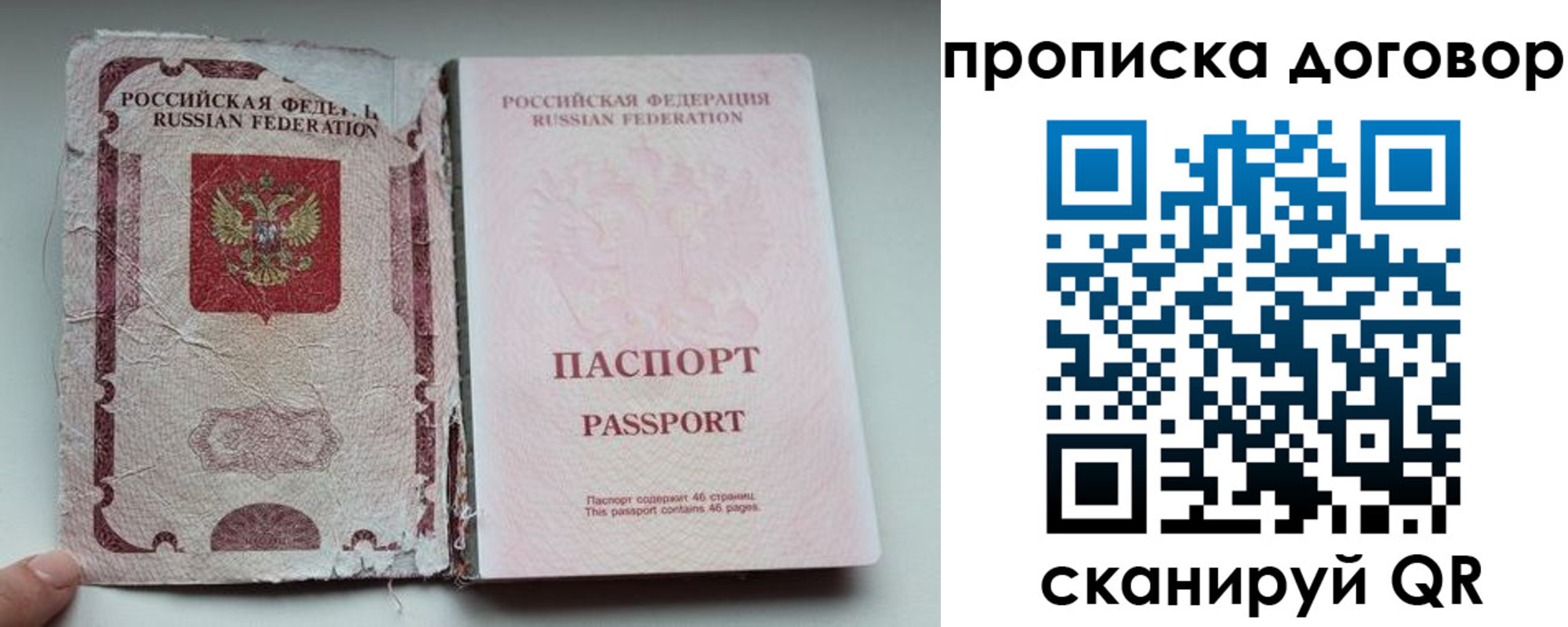 прописка поиск в Александрове